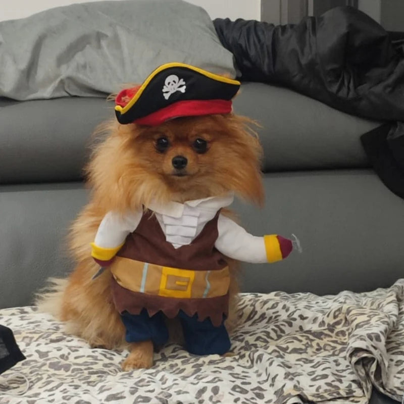 Pirate Costume for Dogs & Cats