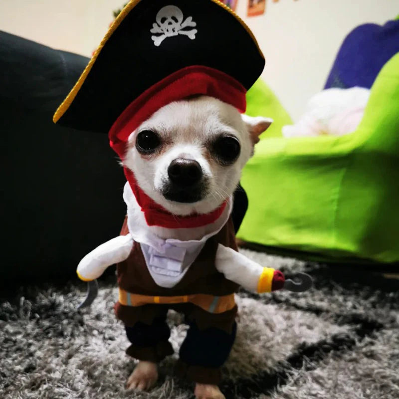 Pirate Costume for Dogs & Cats