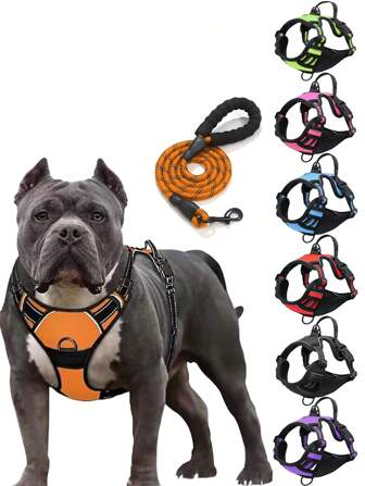 Collars, Harnesses & Leashes