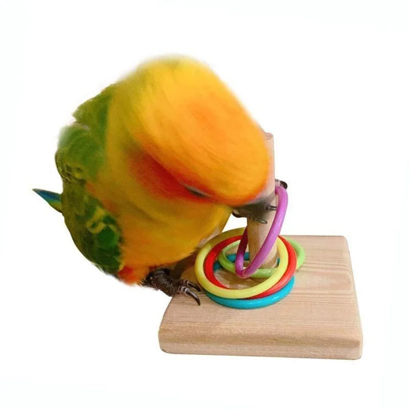 Bird Training Ring Toy