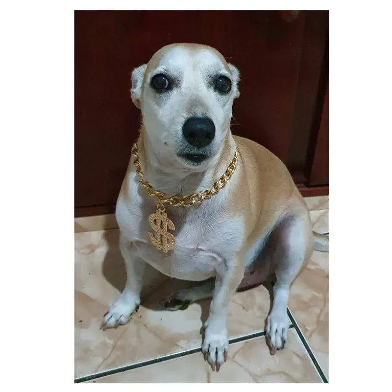 Luxury Dog Gold Necklace