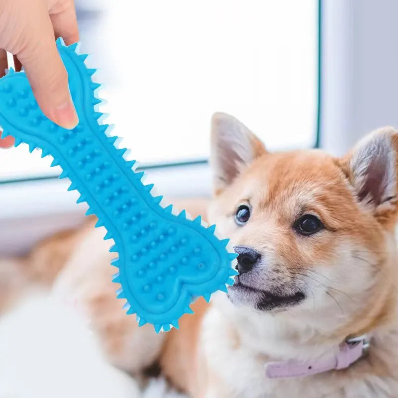 Pet Chew Toy