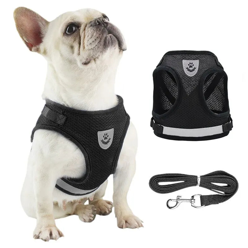 Pet Leash Undershirt Type Harness