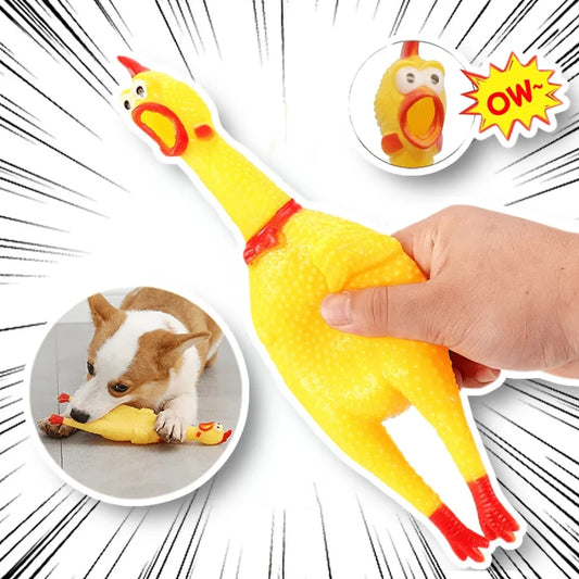 Funny Screaming Chicken Chew Toy